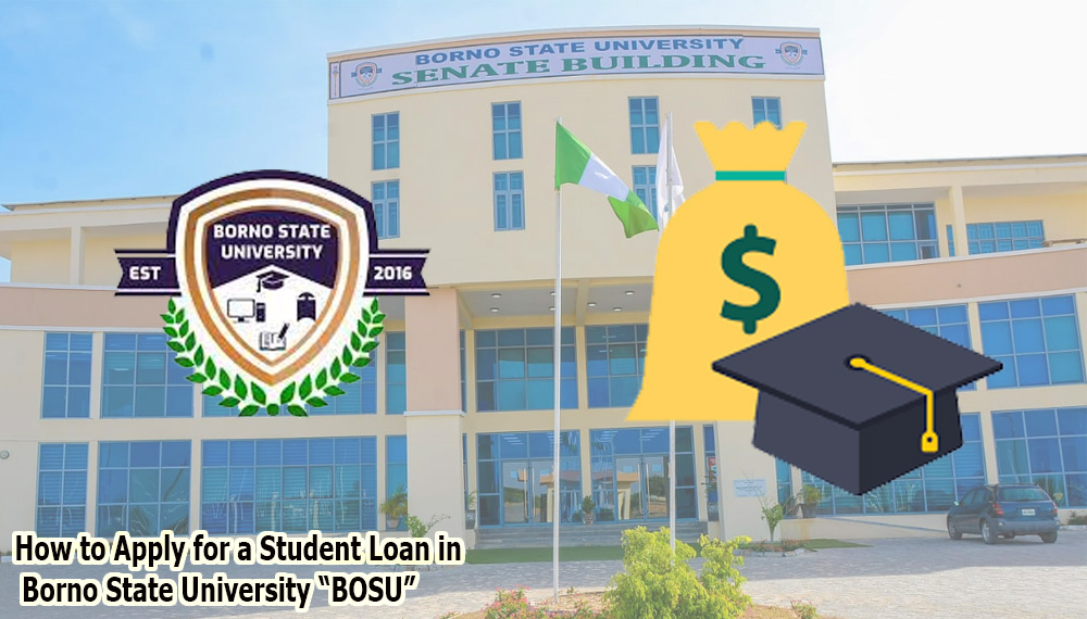 How to Apply for a Student Loan in Borno State University